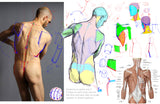 Analytical Figure Drawing with Kevin Chen (Online Course)