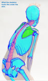 Analytical Figure Drawing with Kevin Chen (Online Course)
