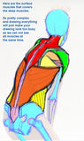 Analytical Figure Drawing with Kevin Chen (Online Course)
