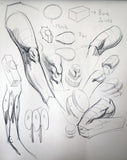 Analytical Figure Drawing with Kevin Chen (Online Course)
