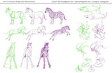 Intro to Animal Drawing with Polina Hristova (Online Course)