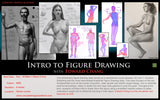Intro to Figure Drawing with Edward Chang (Online Course)