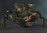 ZBrush Creature Design with Kyle Kane (Online Course)